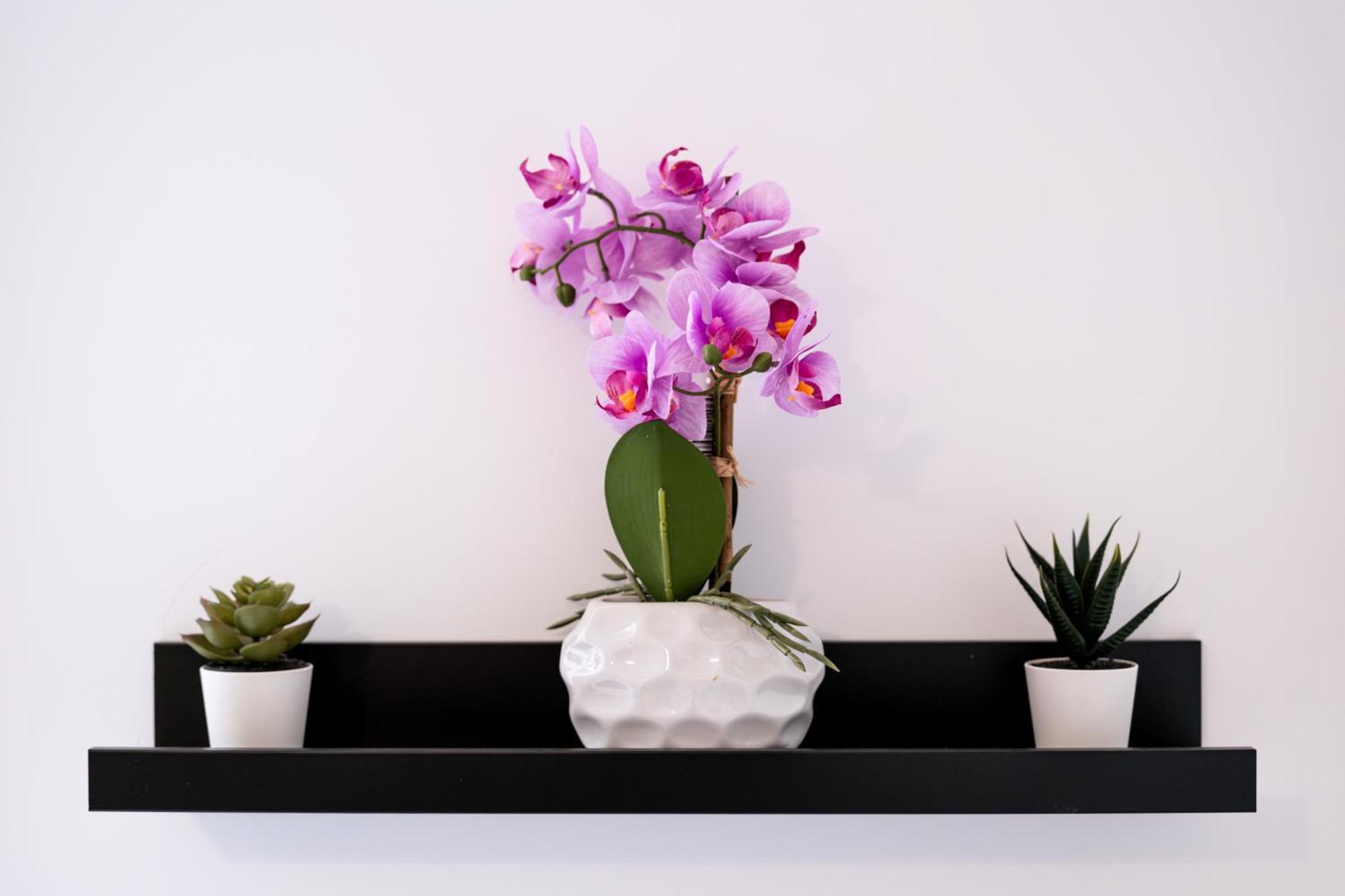 Soho Downtown Apartment Будапеща Екстериор снимка